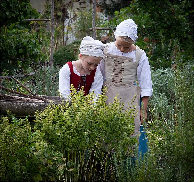 In The Herb Garden_Sarah Potter.jpg